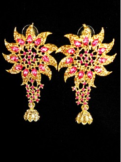 Fashion Earrings